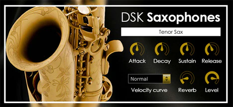 DSK Saxophones plugin interface