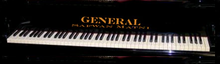 General plugin interface
