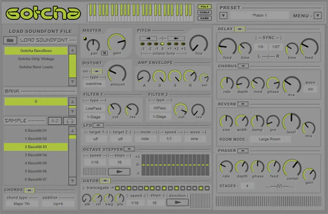 Gotcha plugin interface