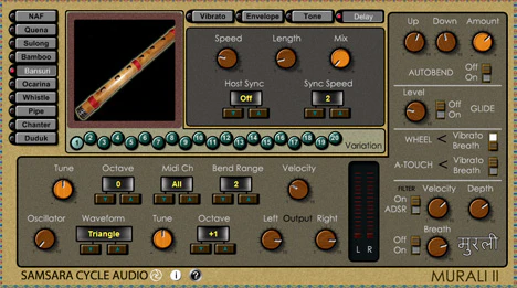 Murali II plugin interface