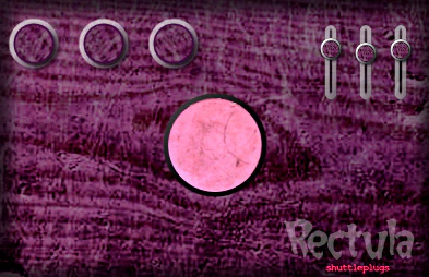 Rectula plugin interface