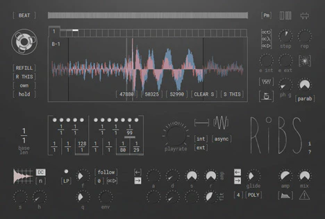 Ribs plugin interface