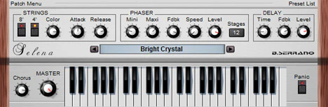 Selena plugin interface