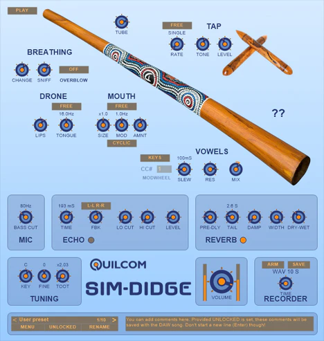 SIM-DIDGE plugin interface