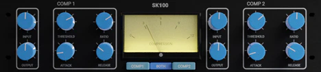 SK100 plugin interface