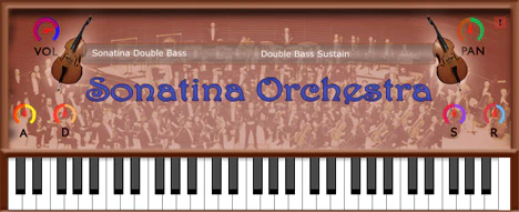 Sonatina Double Bass plugin interface
