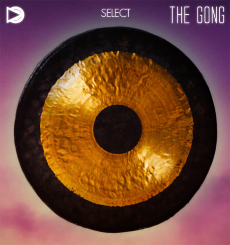The Gong plugin interface