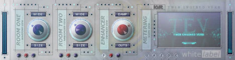 Twin Engined Verb plugin interface